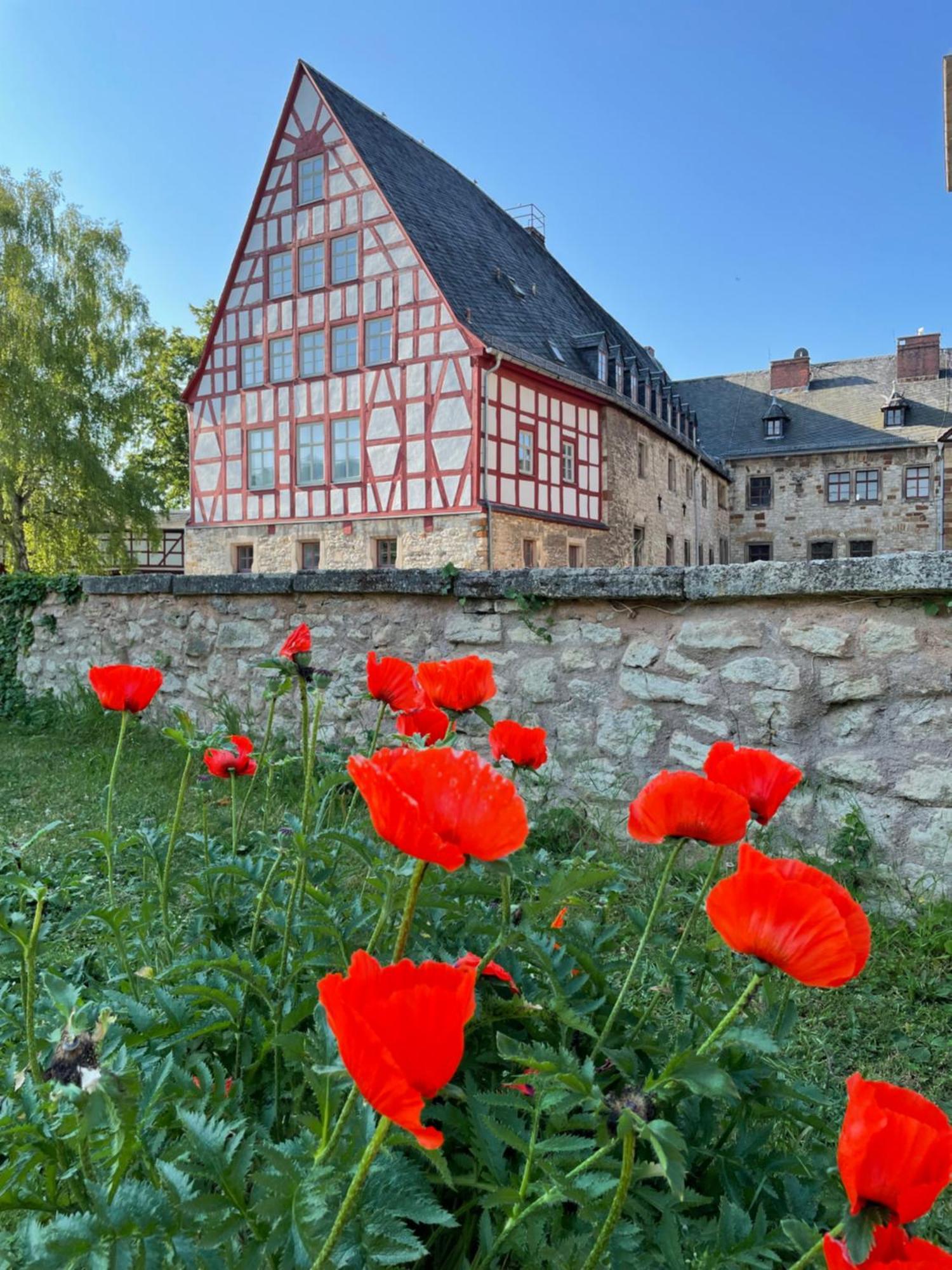 Schloss Beichlingen Hotel Exterior photo