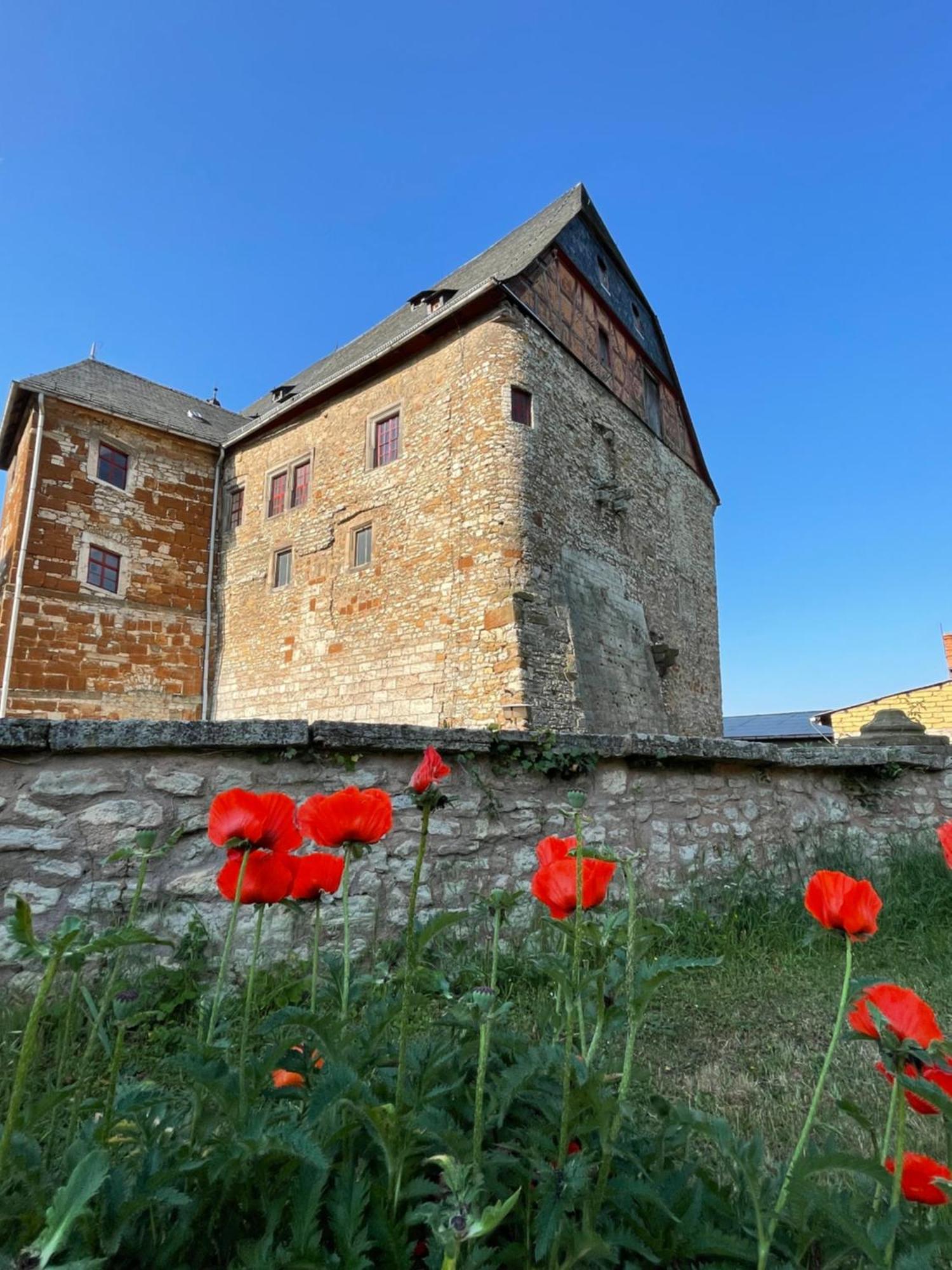 Schloss Beichlingen Hotel Exterior photo