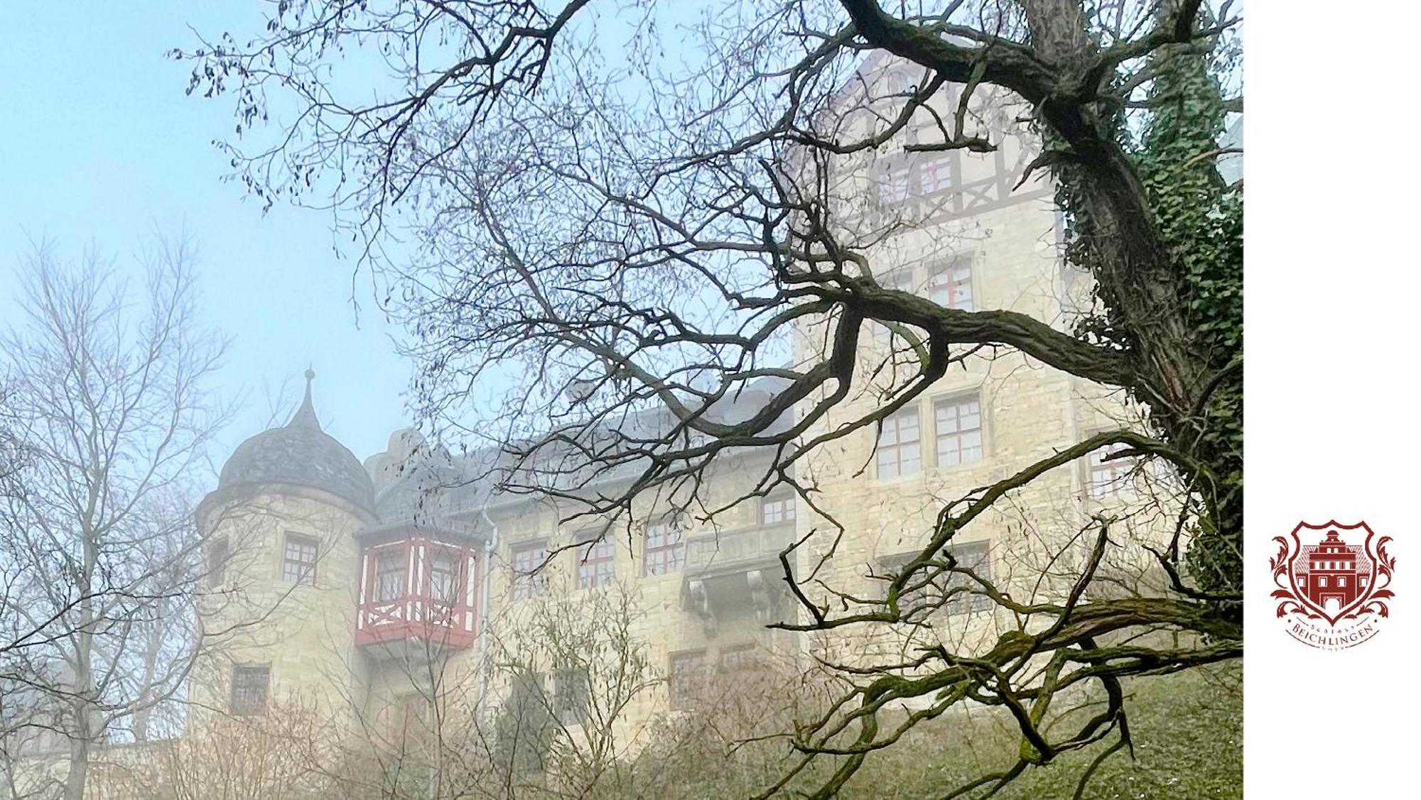 Schloss Beichlingen Hotel Exterior photo